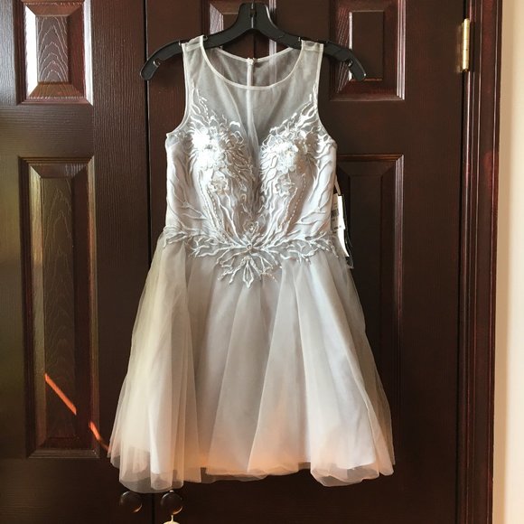 Basic Black Label Dresses & Skirts - NWT, Basic Black Label silver dress, 0